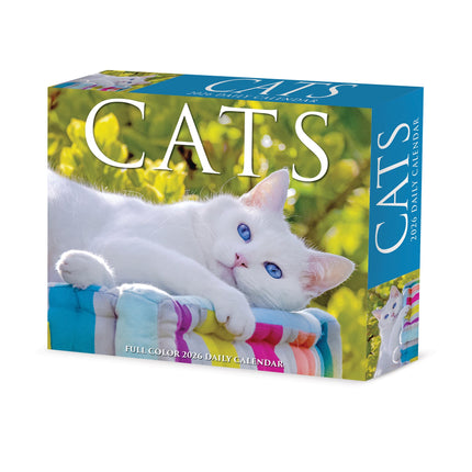 Willow Creek Katten Scheurkalender 2026 Boxed