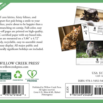 Willow Creek Katten Scheurkalender 2026 Boxed