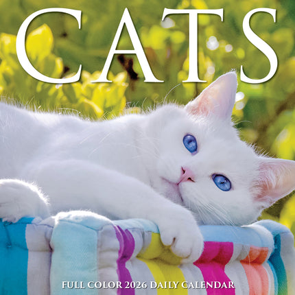 Willow Creek Katten Scheurkalender 2026 Boxed