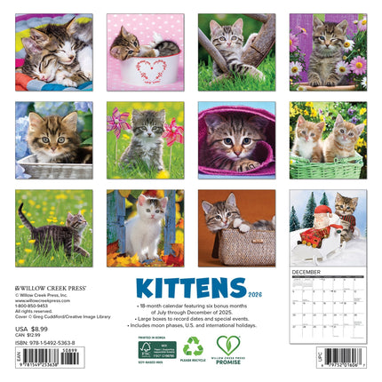Willow Creek Kittens Kalender 2026 Mini