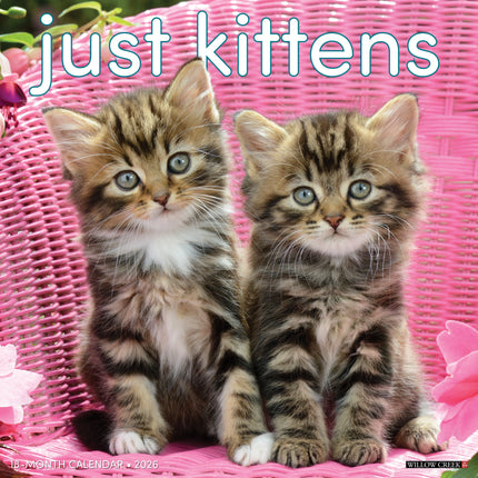 Willow Creek Kittens Kalender 2027
