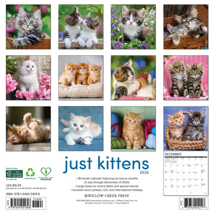 Willow Creek Kittens Kalender 2027