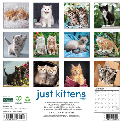 Willow Creek Kittens Kalender 2027