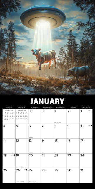 Willow Creek Koeien in de Ruimte Kalender 2026