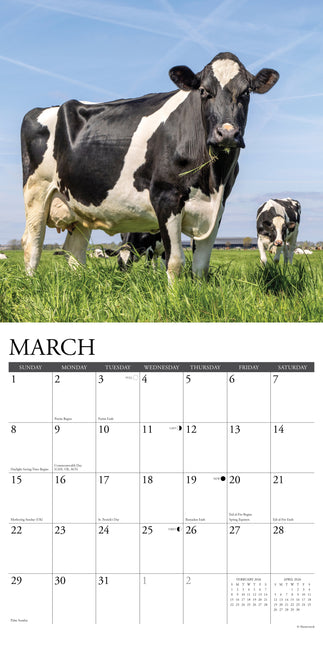 Willow Creek Koeien Kalender 2026