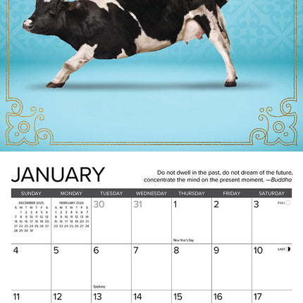 Willow Creek Koeien Yoga Kalender 2026 Mini