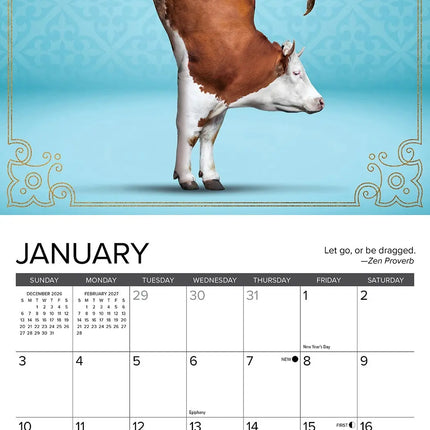 Willow Creek Koeien Yoga Kalender 2027 Mini