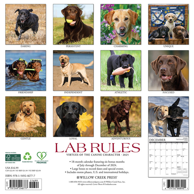 Willow Creek Lab Rules Kalender 2025