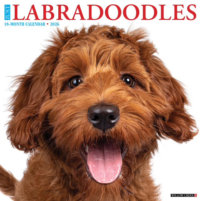 Willow Creek Labradoodle Kalender 2026