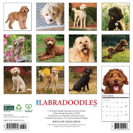 Willow Creek Labradoodle Kalender 2027