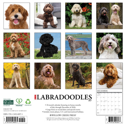 Willow Creek Labradoodle Kalender 2027