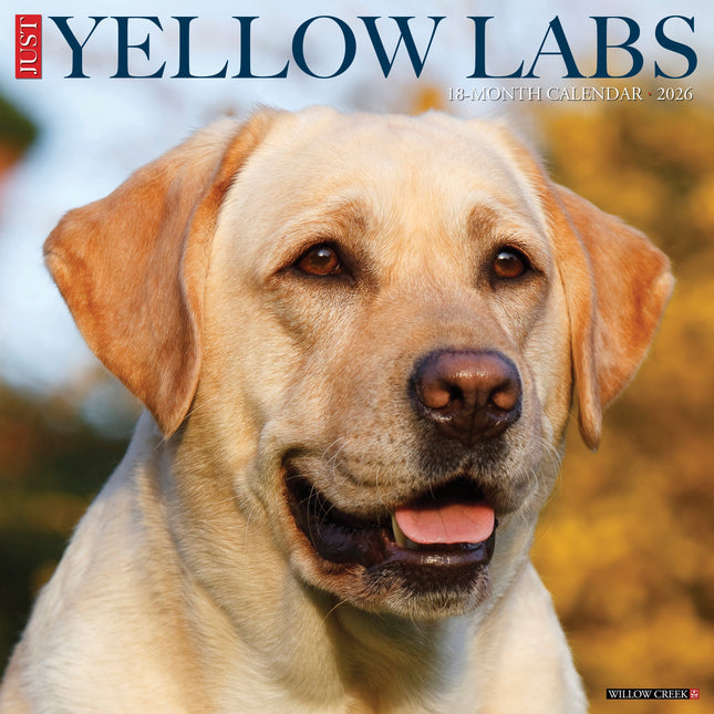 Willow Creek Labrador Retriever Blond Kalender 2026