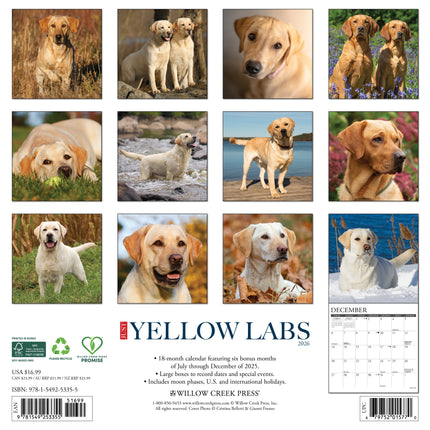 Willow Creek Labrador Retriever Blond Kalender 2026