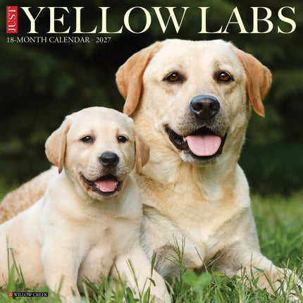 Willow Creek Labrador Retriever Blond Kalender 2027