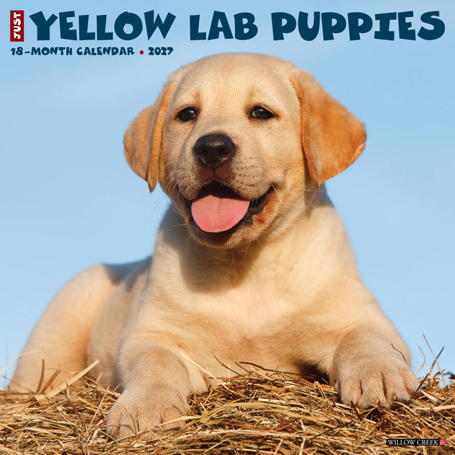 Willow Creek Labrador Retriever Blond Puppies Kalender 2027