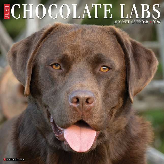 Willow Creek Labrador Retriever Bruin Kalender 2026
