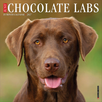 Willow Creek Labrador Retriever Bruin Kalender 2027