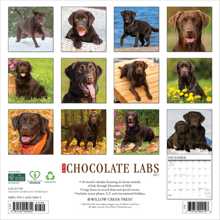Willow Creek Labrador Retriever Bruin Kalender 2027