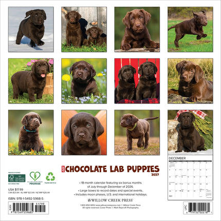 Willow Creek Labrador Retriever Bruin Puppies Kalender 2026