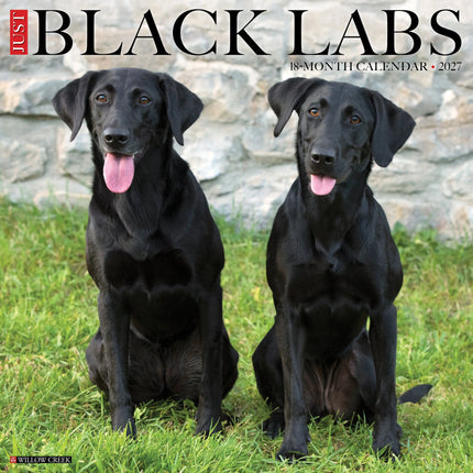 Willow Creek Labrador Retriever Kalender 2027