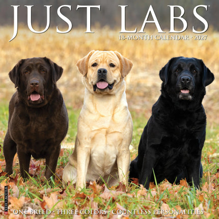 Willow Creek Labrador Retriever Mixed Kalender 2027