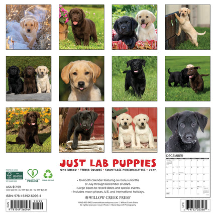 Willow Creek Labrador Retriever Puppies Kalender 2027
