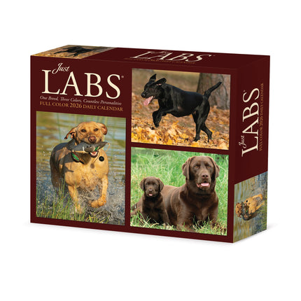 Willow Creek Labrador Retriever Scheurkalender 2026 Boxed