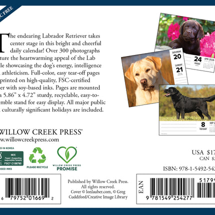 Willow Creek Labrador Retriever Scheurkalender 2026 Boxed