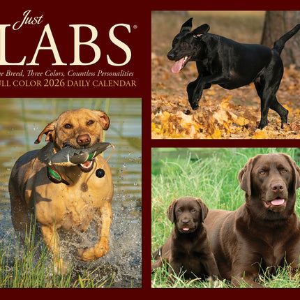 Willow Creek Labrador Retriever Scheurkalender 2026 Boxed
