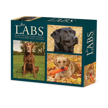 Willow Creek Labrador Retriever Scheurkalender 2027 Boxed