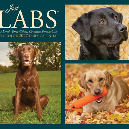 Willow Creek Labrador Retriever Scheurkalender 2027 Boxed