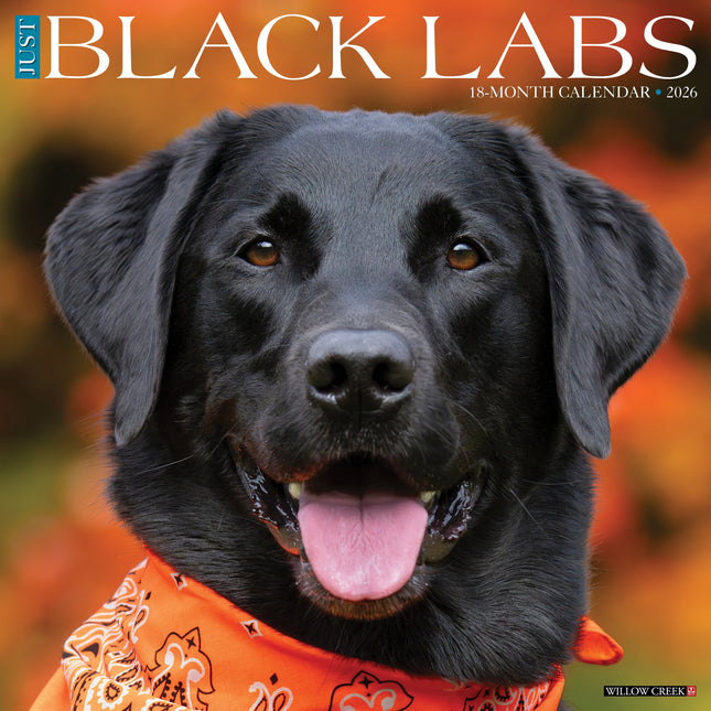 Willow Creek Labrador Retriever Zwart Kalender 2026
