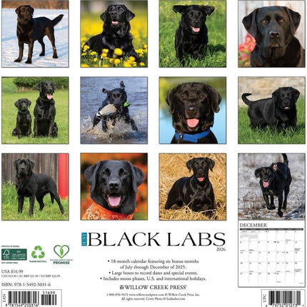 Willow Creek Labrador Retriever Zwart Kalender 2026