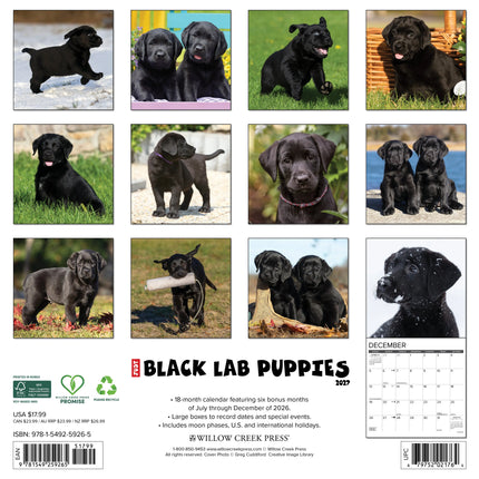 Willow Creek Labrador Retriever Zwart Puppies Kalender 2027