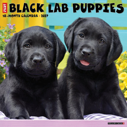 Willow Creek Labrador Retriever Zwart Puppies Kalender 2027