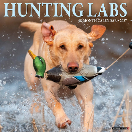 Willow Creek Labradors op Jacht Kalender 2027