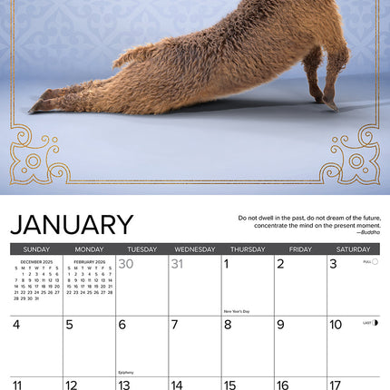 Willow Creek Lama Yoga Kalender 2027