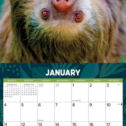 Willow Creek Luiaard Kalender 2026