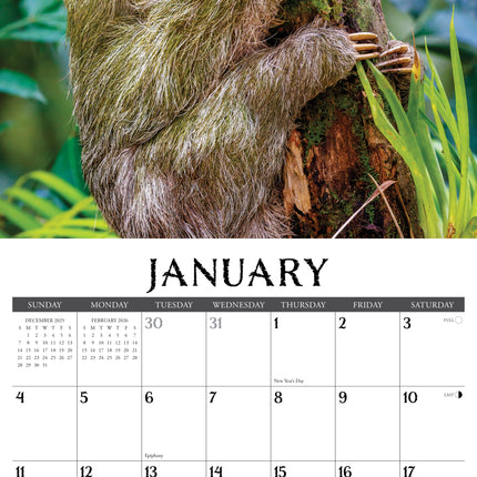 Willow Creek Luiaard Kalender 2026