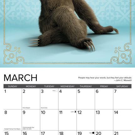 Willow Creek Luiaard Yoga Kalender 2027