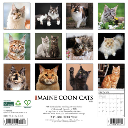 Willow Creek Maine Coon Kalender 2026