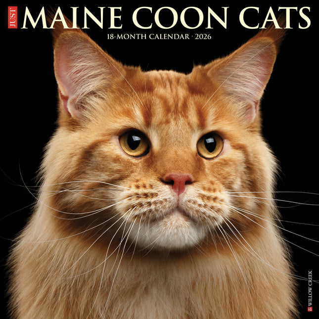 Willow Creek Maine Coon Kalender 2026