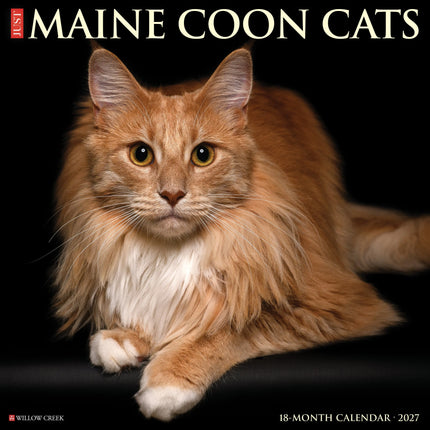 Willow Creek Maine Coon Kalender 2027