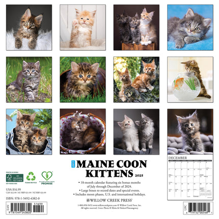 Willow Creek Maine Coon Kittens Kalender 2025