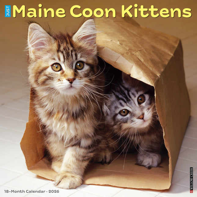Willow Creek Maine Coon Kittens Kalender 2026