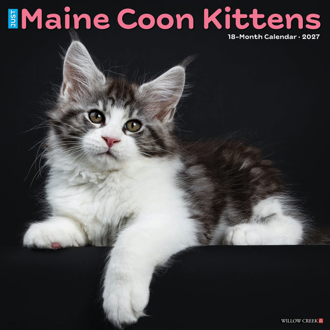 Willow Creek Maine Coon Kittens Kalender 2027