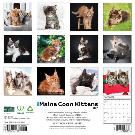 Willow Creek Maine Coon Kittens Kalender 2027
