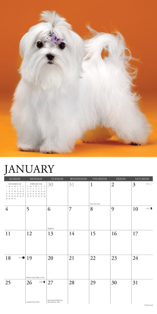 Willow Creek Maltezer Kalender 2026