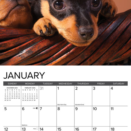 Willow Creek Miniatuur Pinscher Kalender 2025
