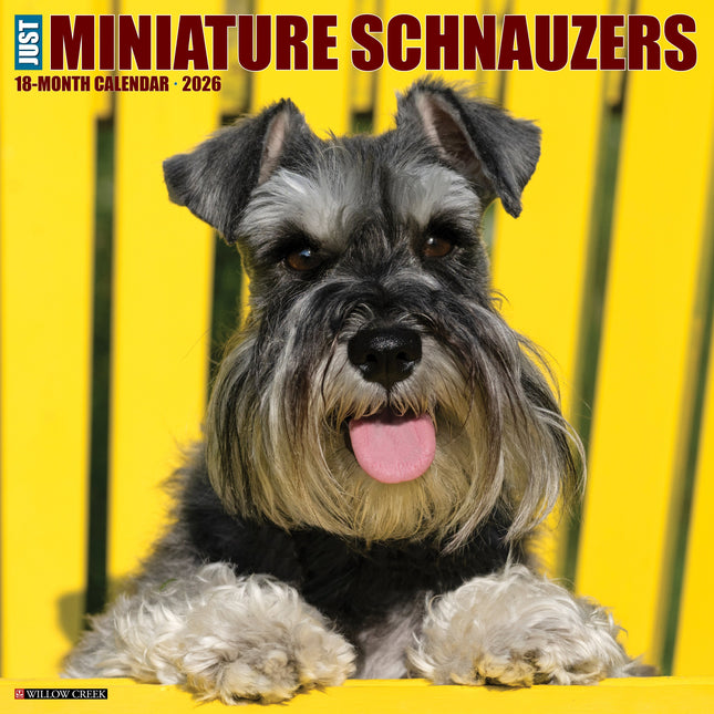 Willow Creek Miniatuur Schnauzer Kalender 2026